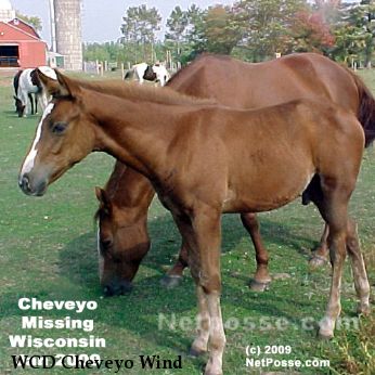 WCD Cheveyo Wind